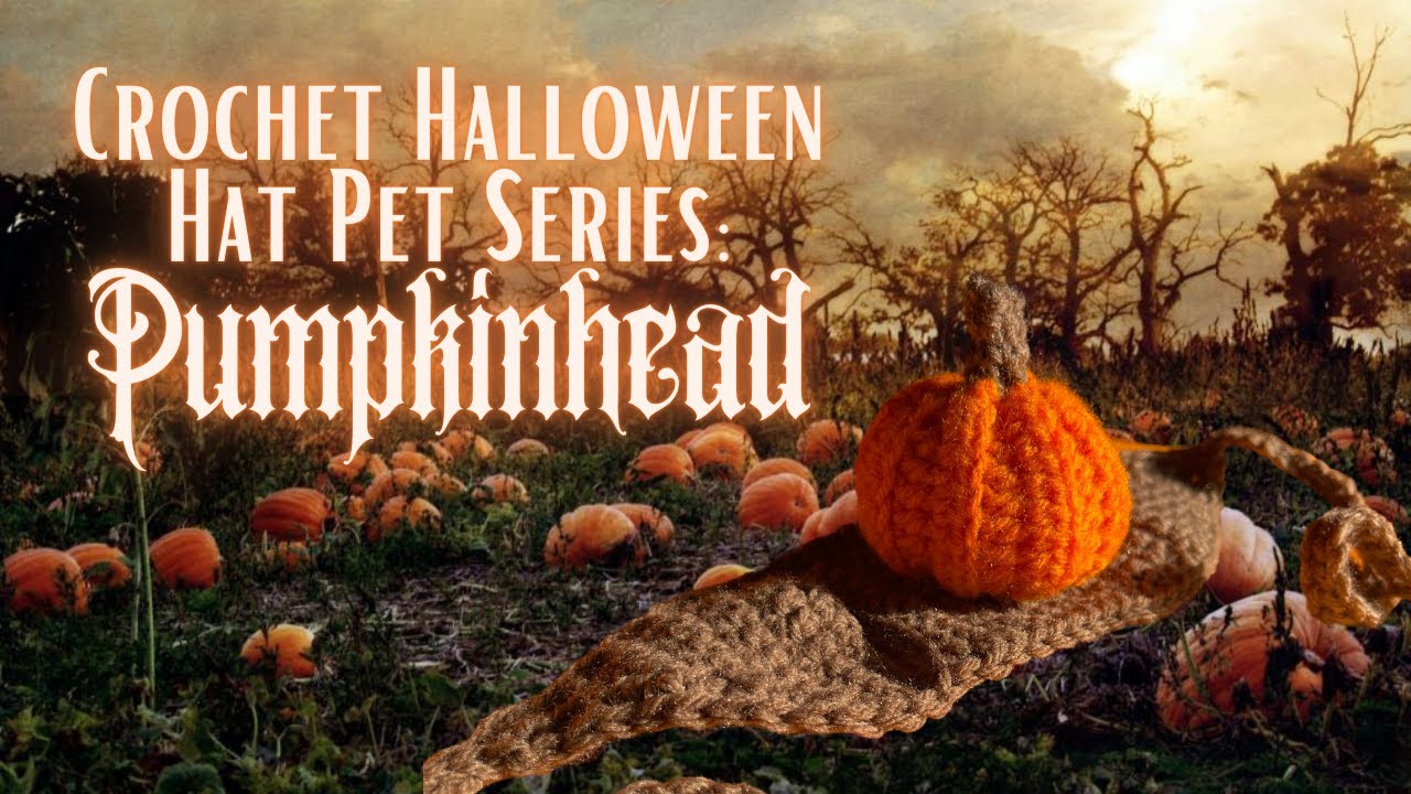 Crochet Halloween Hat Pet Series: Pumpkinhead 🎃| Crochet Pumpkin hat for dogs/cats 🦇 tutorial