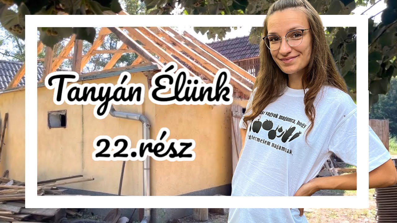TANYÀN ÉLÜNK 22.rész-Tetőszerkezet újítása, első tojásaink, Ősz van🍁🍂🏚️🥚🐓👩‍🌾🧑‍🌾