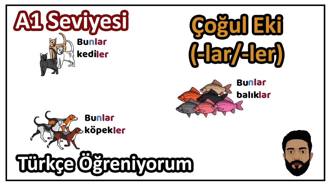 Ders 9. Çoğul Eki [-lar / -ler] Türkçe Öğreniyorum (A1 Seviyesi)