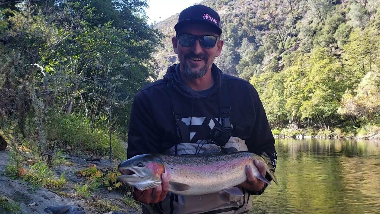 Trinity River Steelhead October 2018