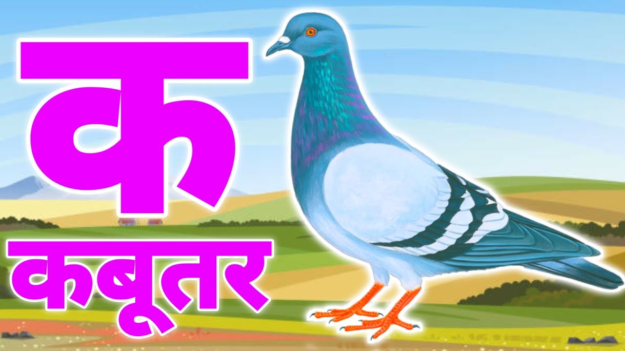 अ से अनार - Hindi Varnamala Geet - Hindi Phonics Song + More Hindi Rhymes for Children jug jug tv