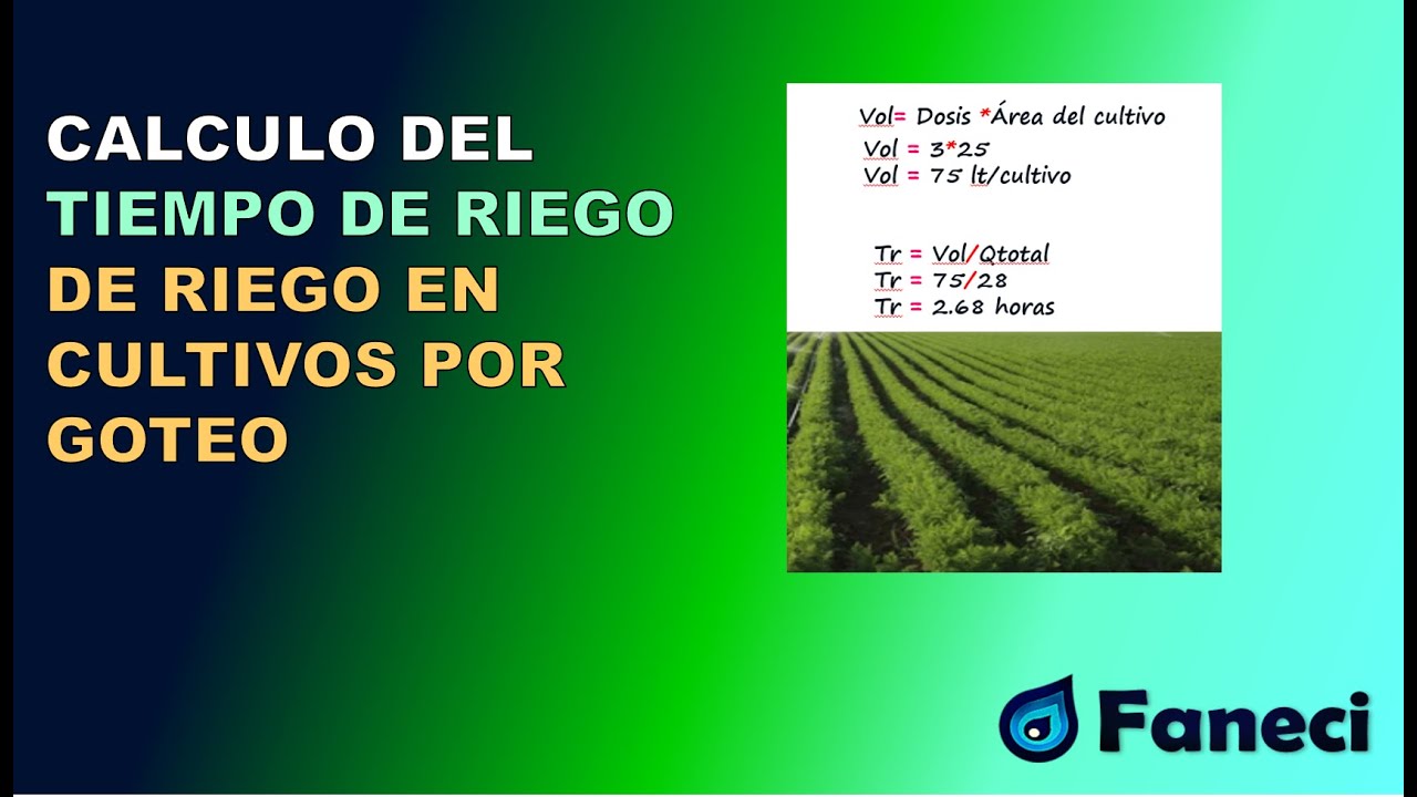 CALCULAR EL TIEMPO DE RIEGO EN SISTEMA POR GOTEO✅
