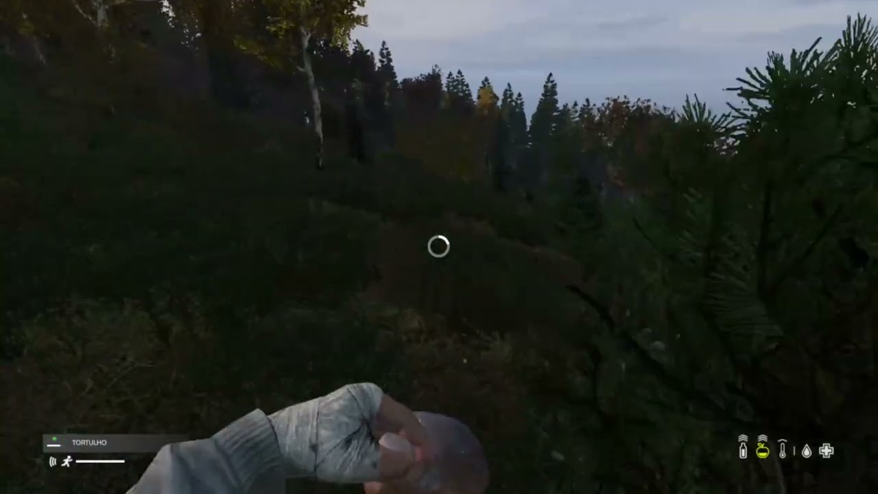 DAYZ  (XBOX ONE FAT)
