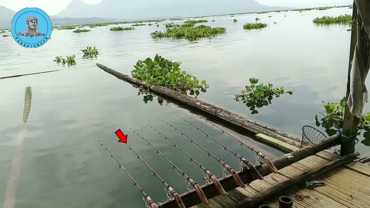 mancing Jatiluhur terbaru manyos sanggutanya