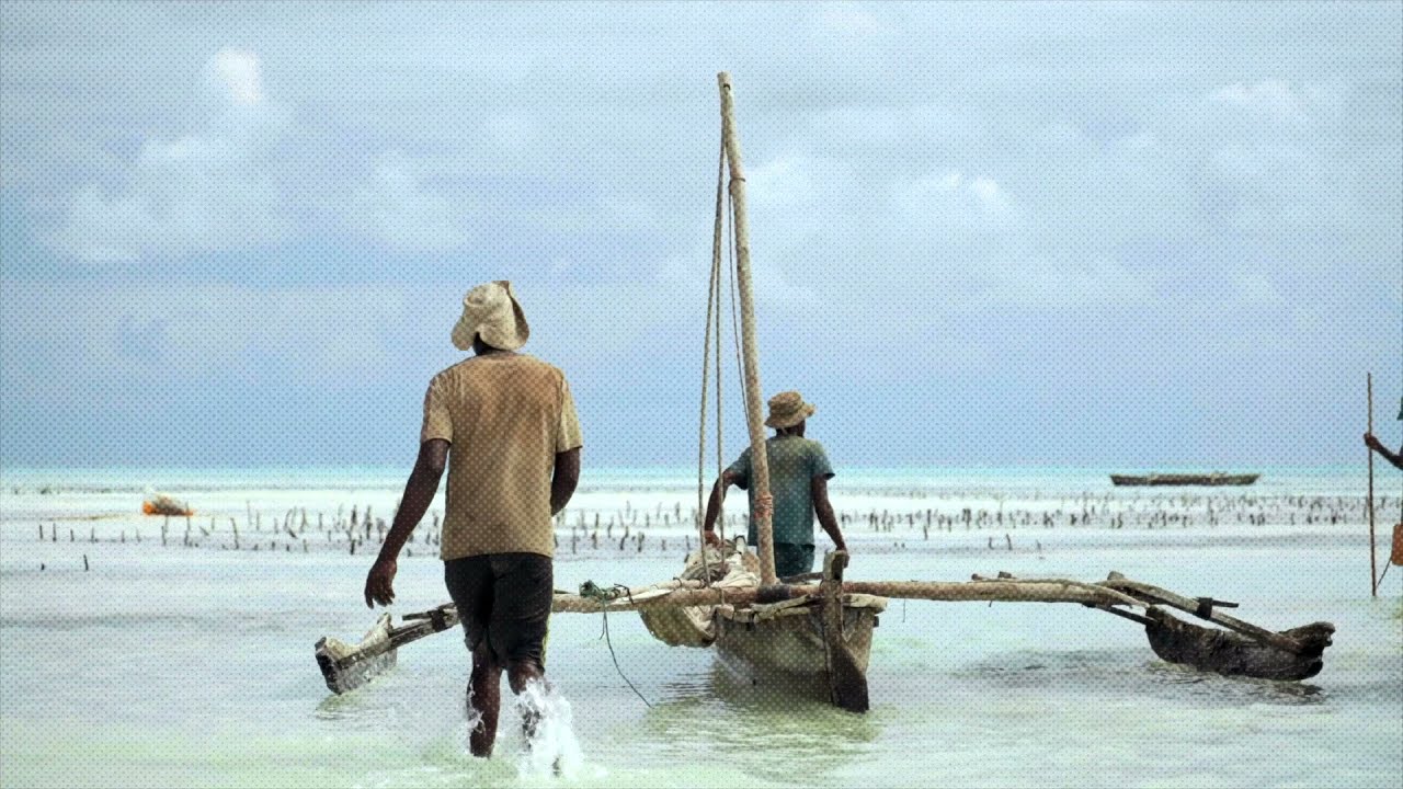 Seba Campos - Pescador (Official Music Video)