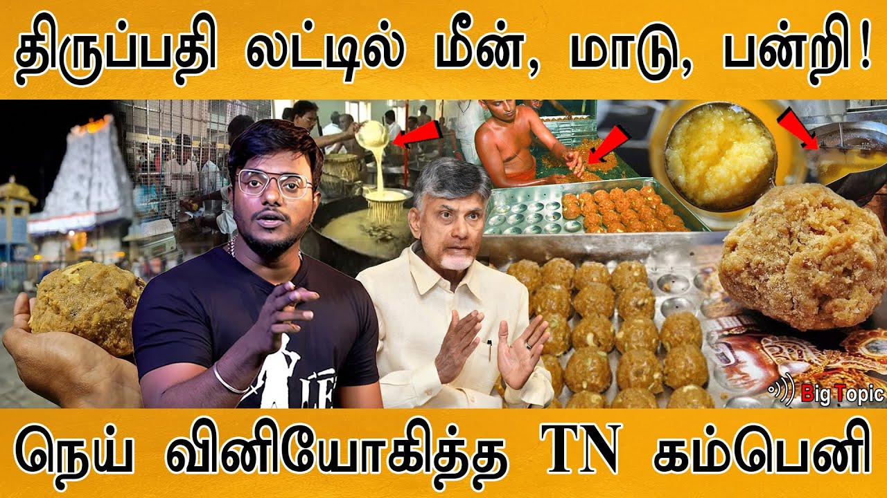 திருப்பதி லட்டில் மீன், மாடு, பன்றி! | Animal Fat In Tirupati Laddu | Chandrababu Naidu | Tirumala |
