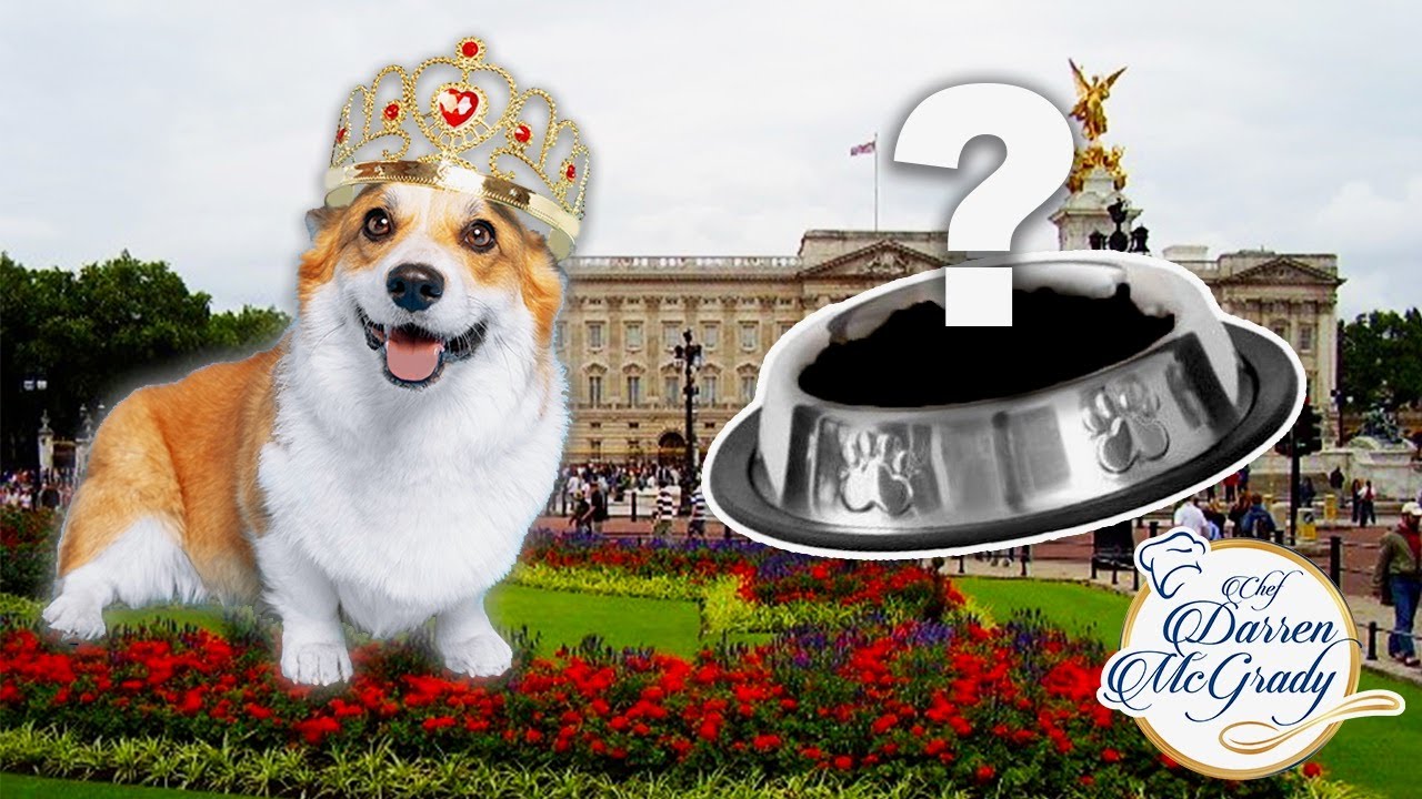 You won't believe what I cooked for the Royal Corgis!