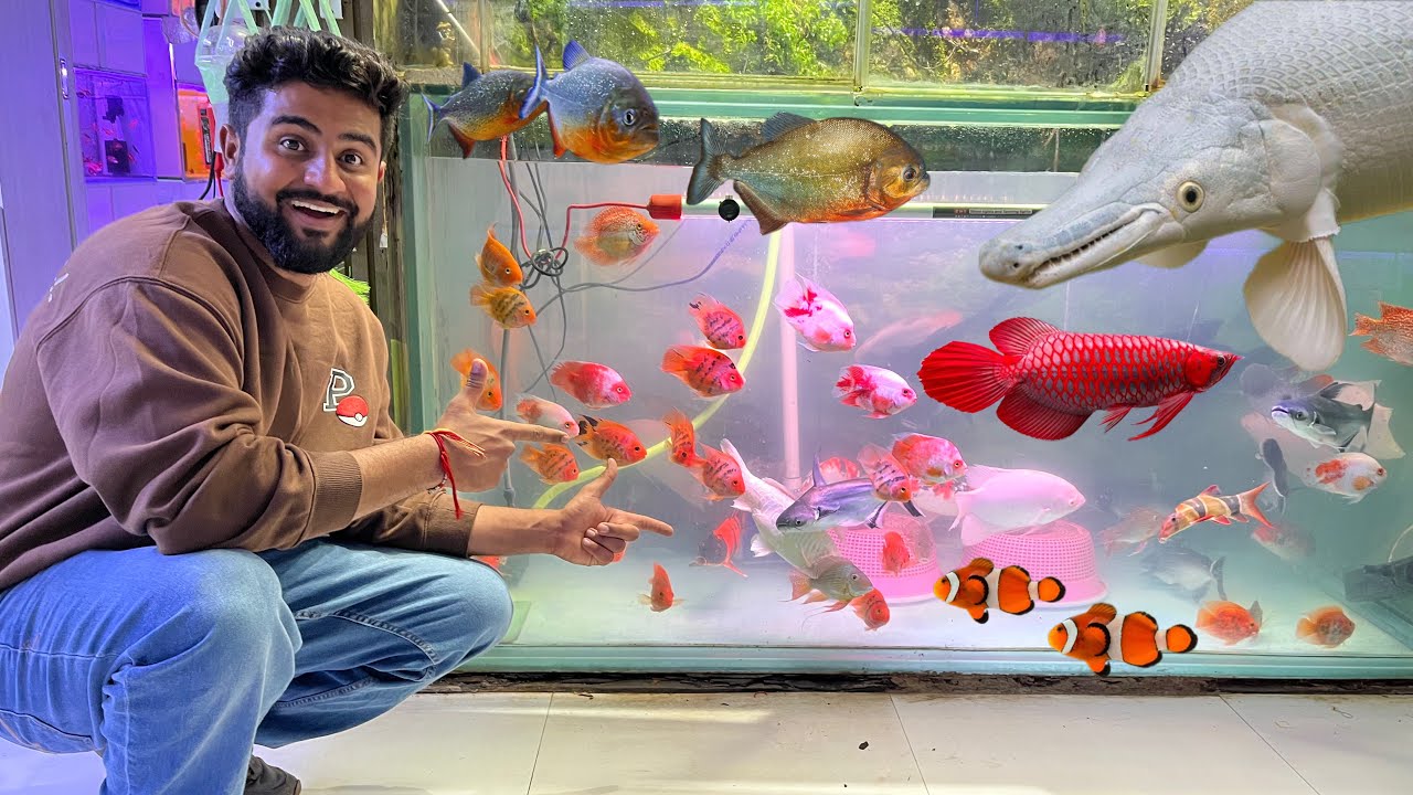 Bahot Sare New Fish Leli 🤩 #kurlafish
