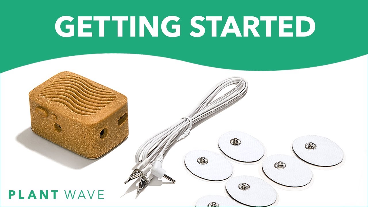 Начало работы с PlantWave