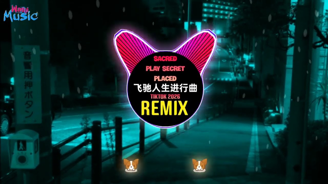 Sacred Play Secret Place (DJ阿智Remix) 飞驰人生进行曲 (秋成 - 人无再少年) (Remix Tiktok 2026 DJ抖音热播版) V2