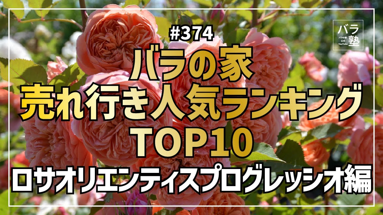 #374 バラの家売れ行き人気ランキングTOP10 ロサオリエンティスプログレッシオ編