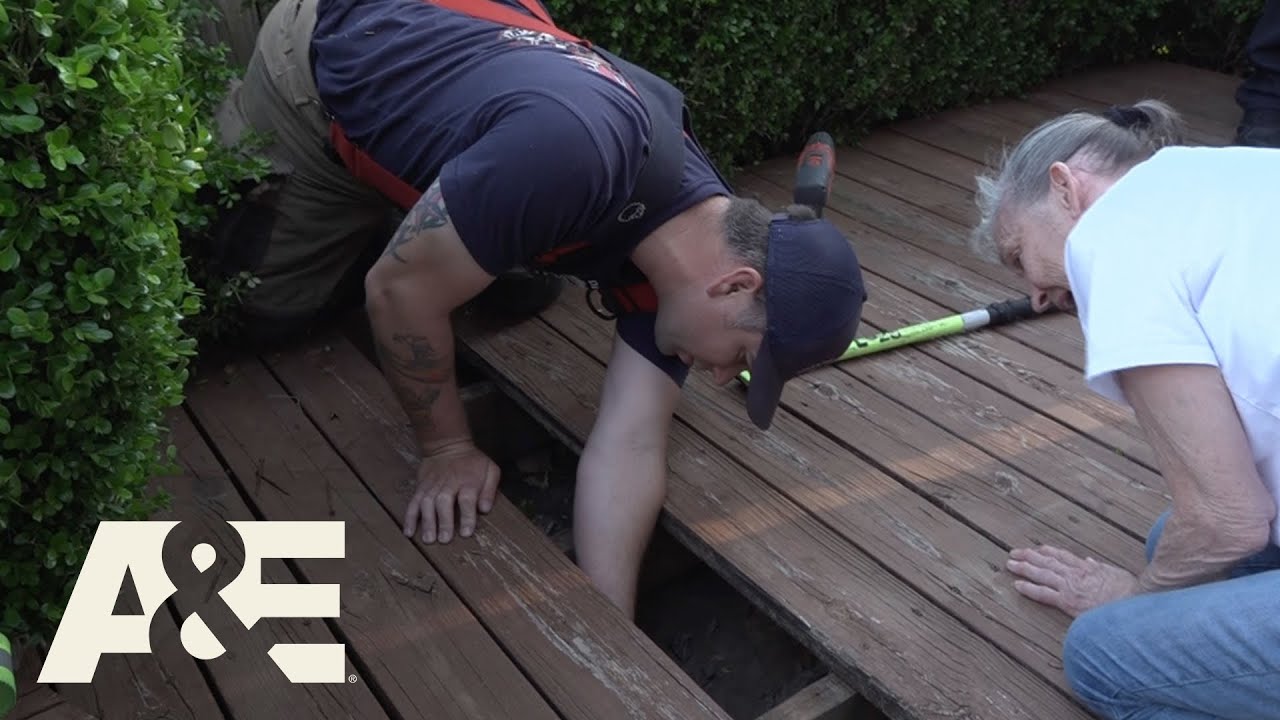 Live Rescue: Little Lost Puppy (Season 1) | A&E