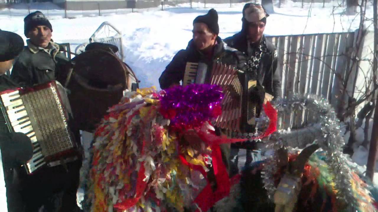 CAPRA DE LA BOZIENI-CUCI