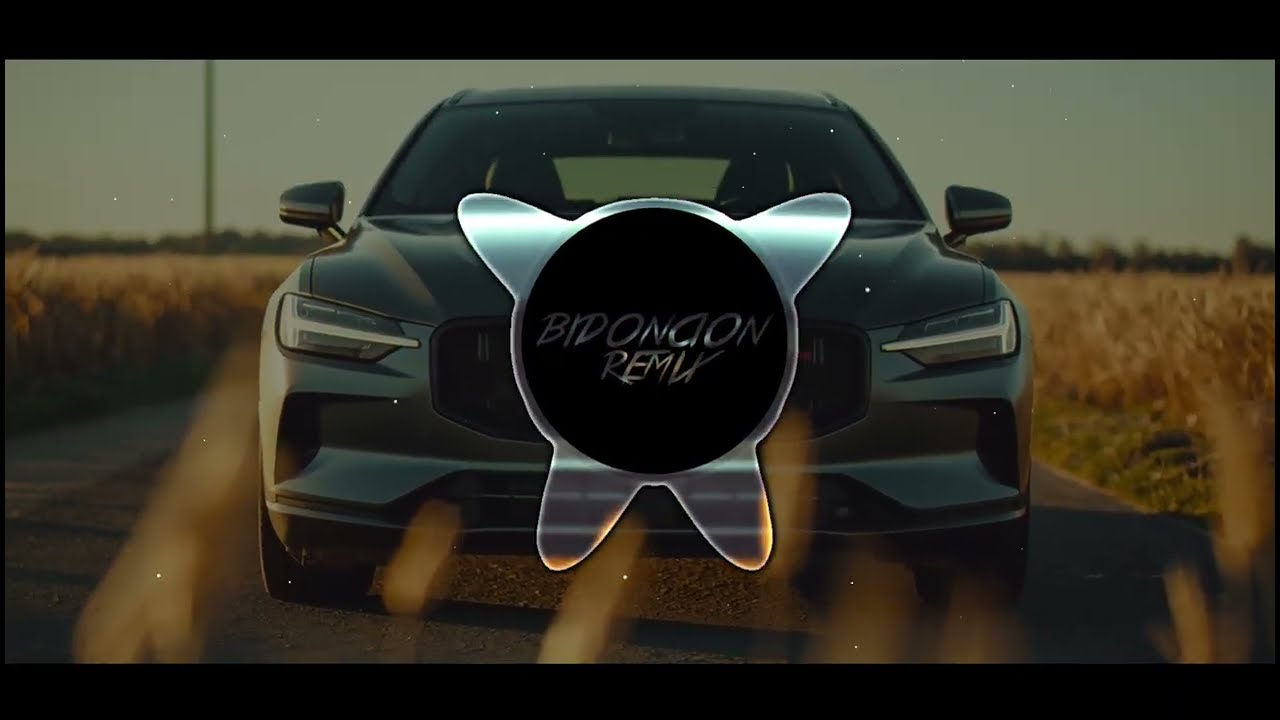 100лиця - Тигриці (BID0NCI0N REMIX) | Ля які гузиці