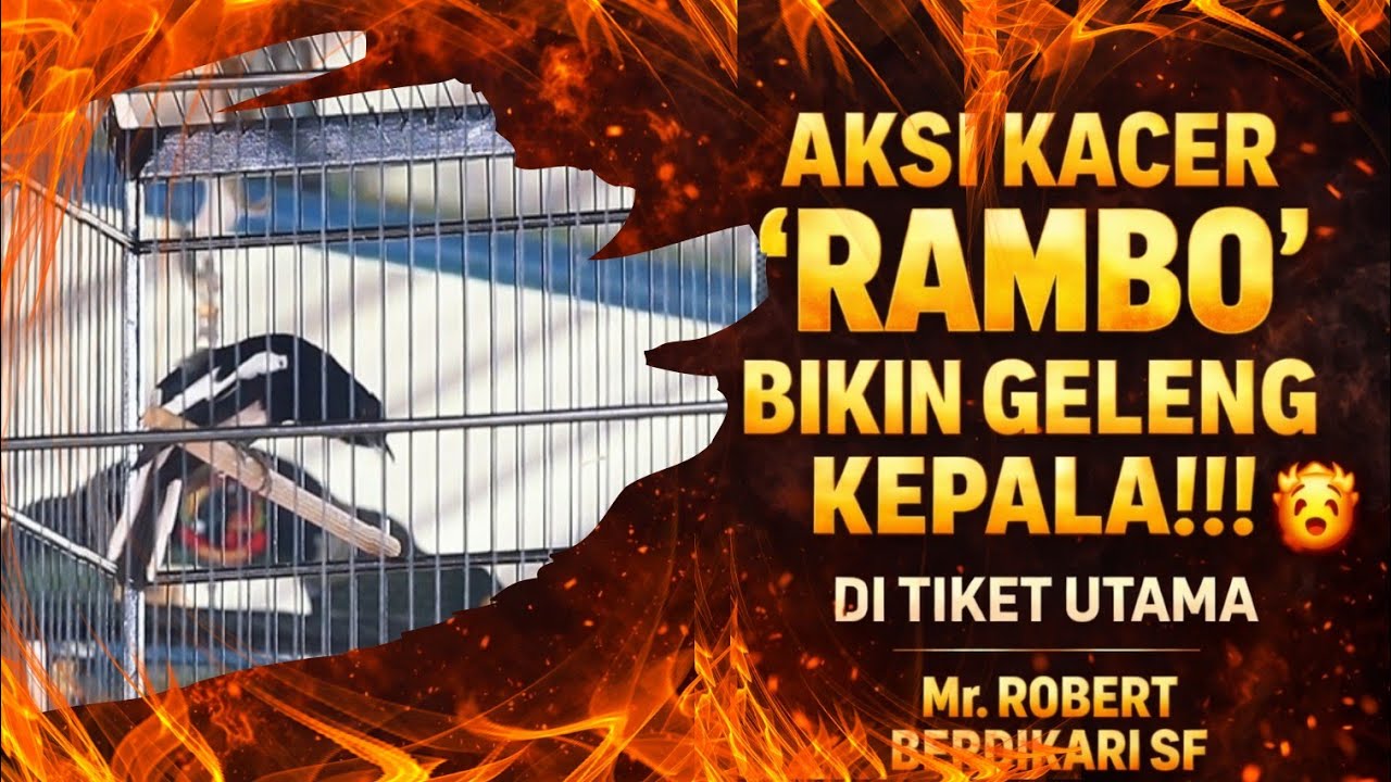 DI TIKET UTAMA🔥LIHAT AKSI KACER RAMBO FULL DURASI SUJUD HASILNYA BIKIN GELENG