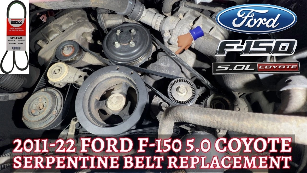 2011-22 Ford F-150 5.0 Coyote Serpentine Belt Replacement How-to
