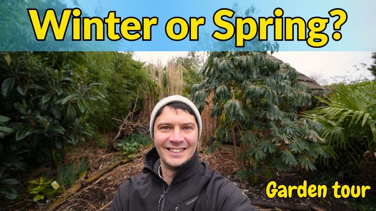 Mid-February Exotic Garden Tour: Signs of Spring or Still Winter?