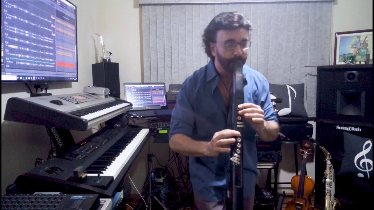 I Have nothing (Whitney Houston) (Anselmo Sax Akai EWI5000)