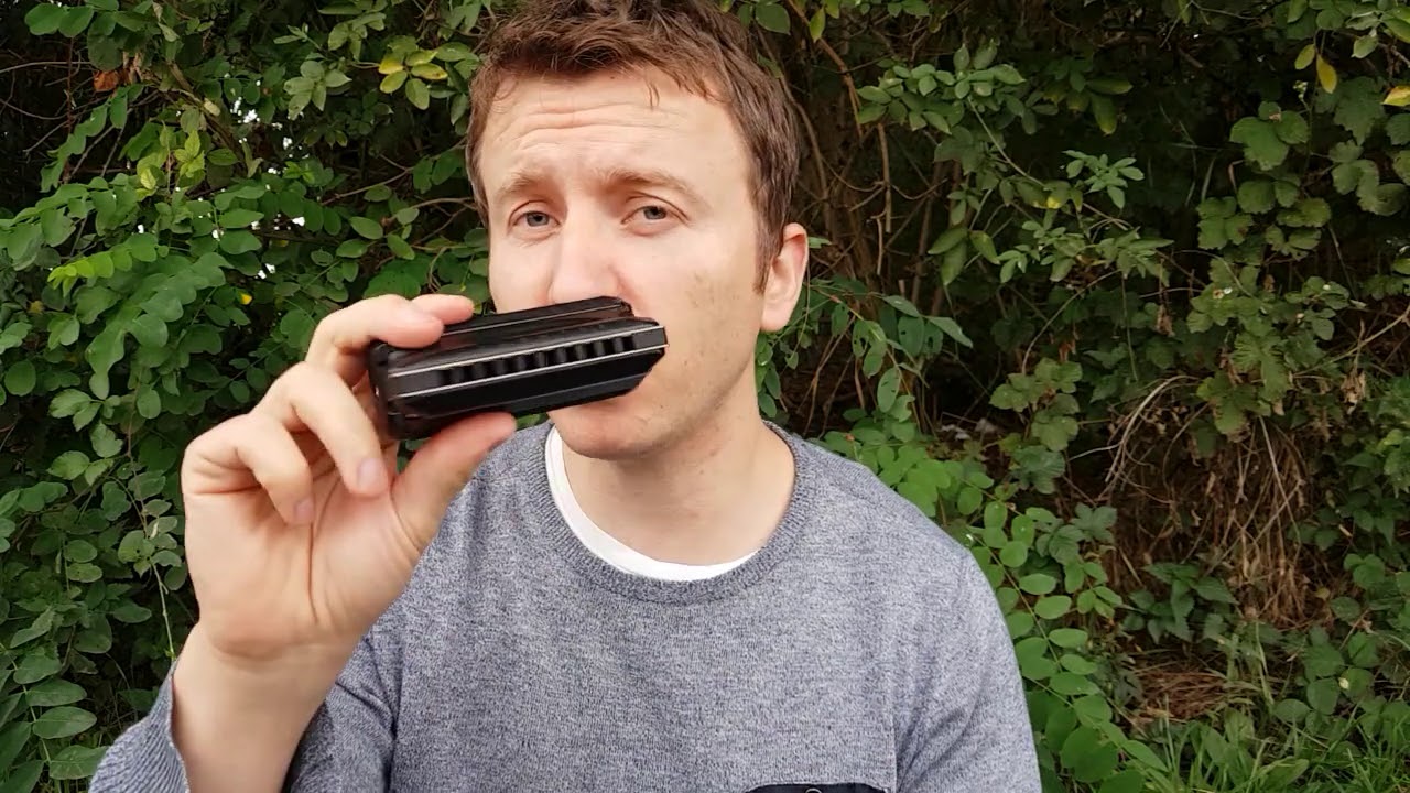 Suzuki Shinobix harmonica silencer - test