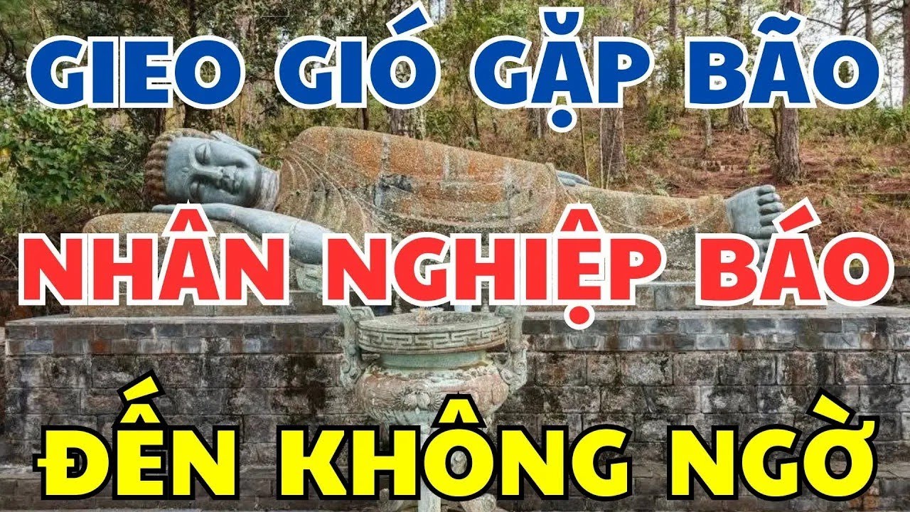 Chuyện Luật Nhân Quả   Ở Đời Gieo Gió Gặt Bão, Nhân Quả Nghiệp Báo Đến Không Ngờ!   Duyên Bồ Đề