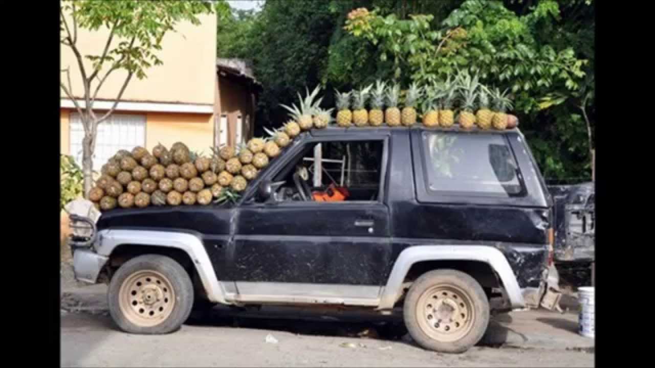dominicanadas 1