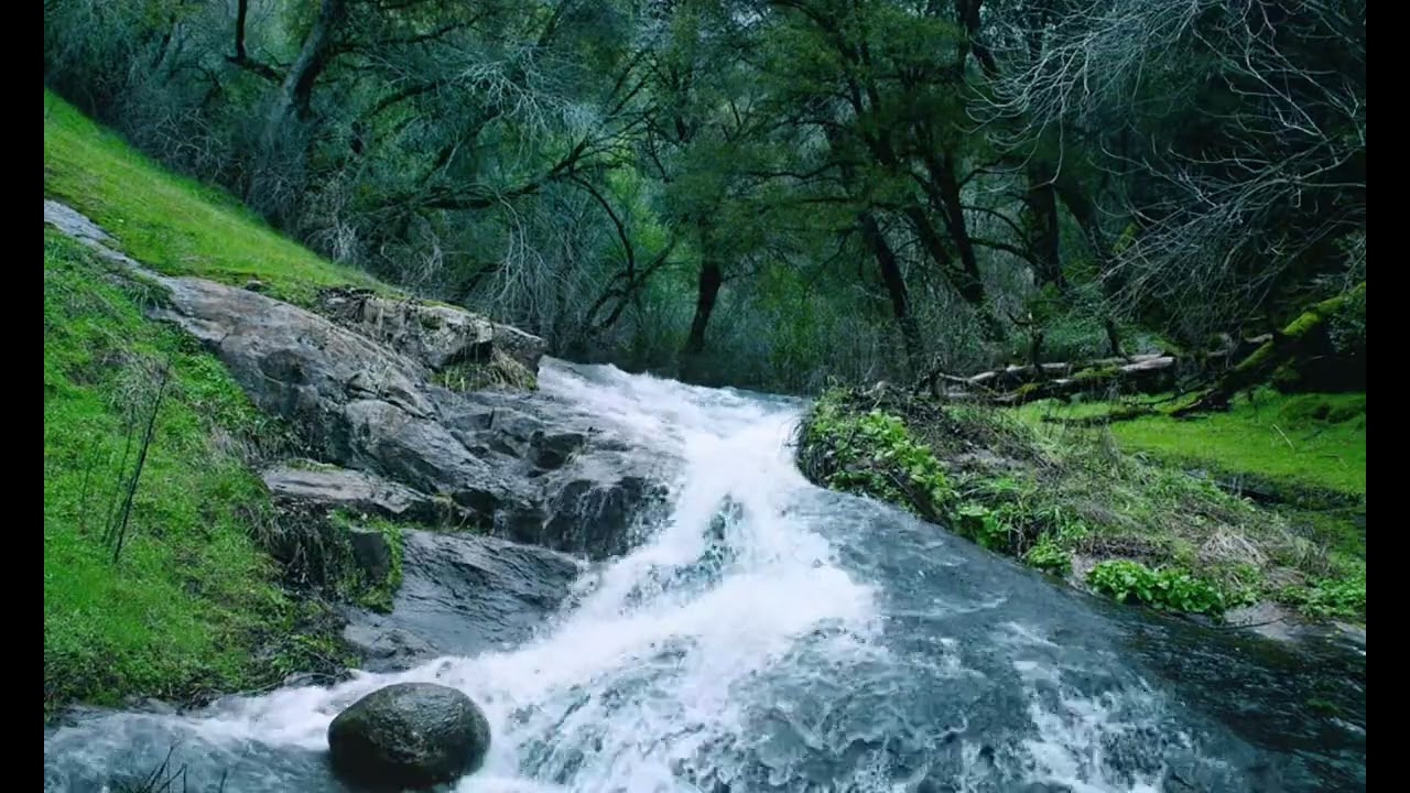 سورة الدخان، الطور العراقي، القارئ أحمد النفيس