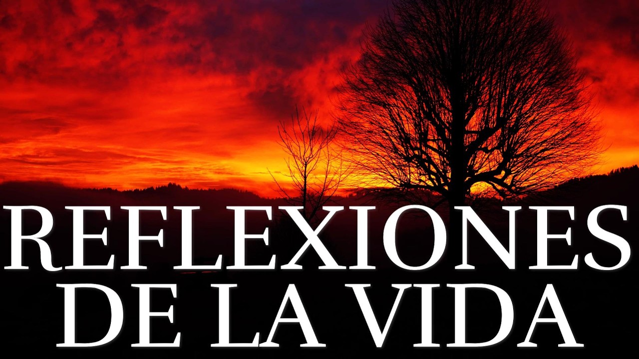 GRANDES Reflexiones De La Vida ¦ Consejos, Autoestima, Amor Propio