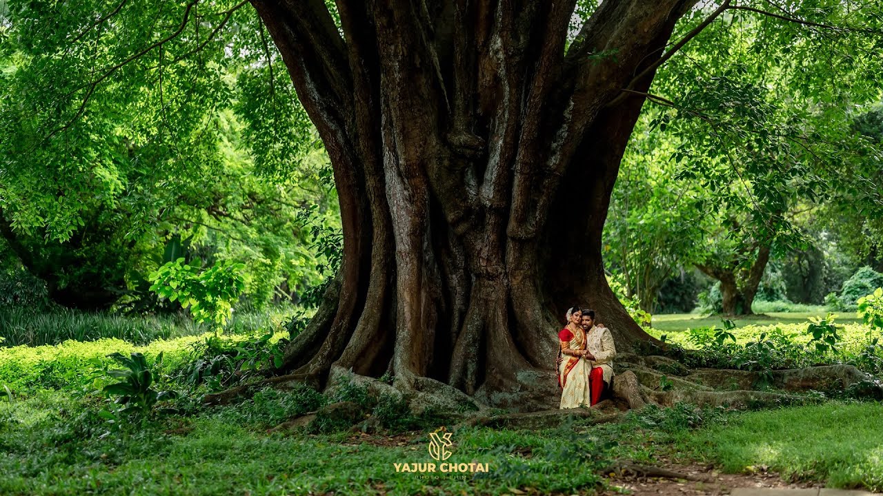 Treshen & Yuvati | South Indian Wedding | 25-03-2023 | Kendra Hall