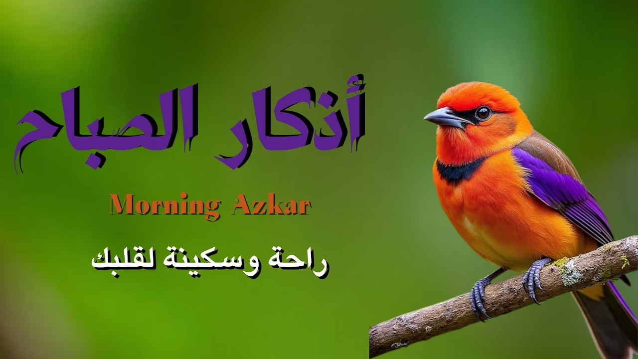 أذكار الصباح - راحة نفسية لا توصف بصوت القارئ علاء عقل | Morning Athkar - Dzkir Pagi