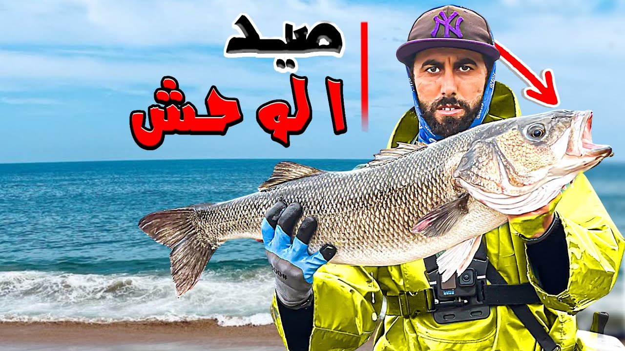 مواجهة العملاق البحري: صيد الدرعي فمنطقة خطيرة!😱 حصيلة كبيرة 🐋🐟