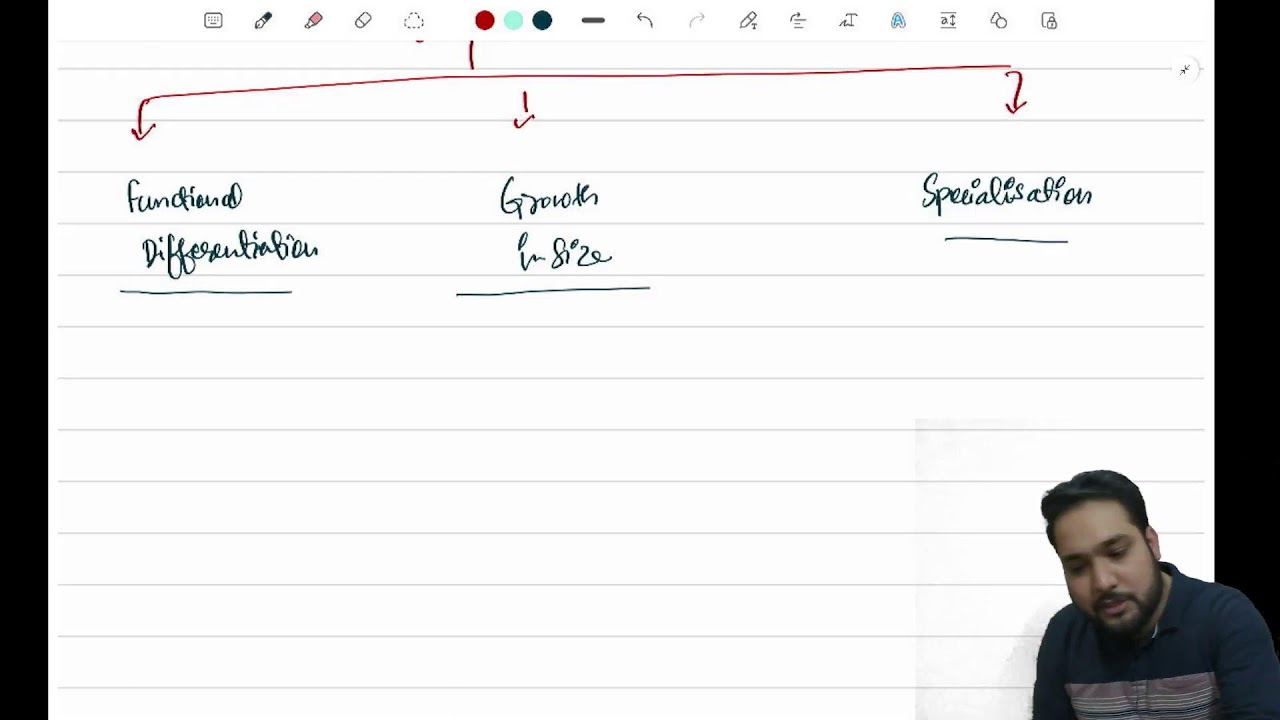 BUSINESS STUDIES | MANAGEMENT | CH 1 | XII Boards Marathon