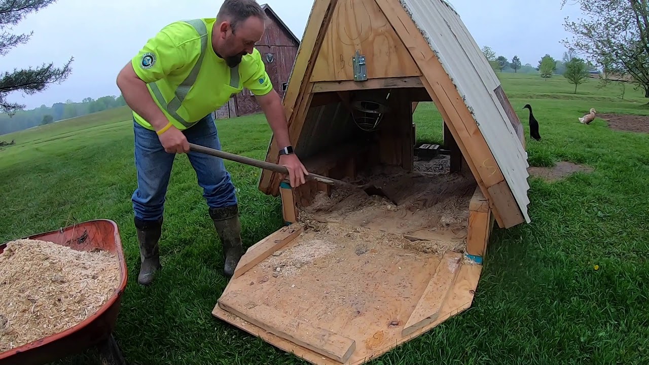 DUCK COOP CLEANING AND VLOG!
