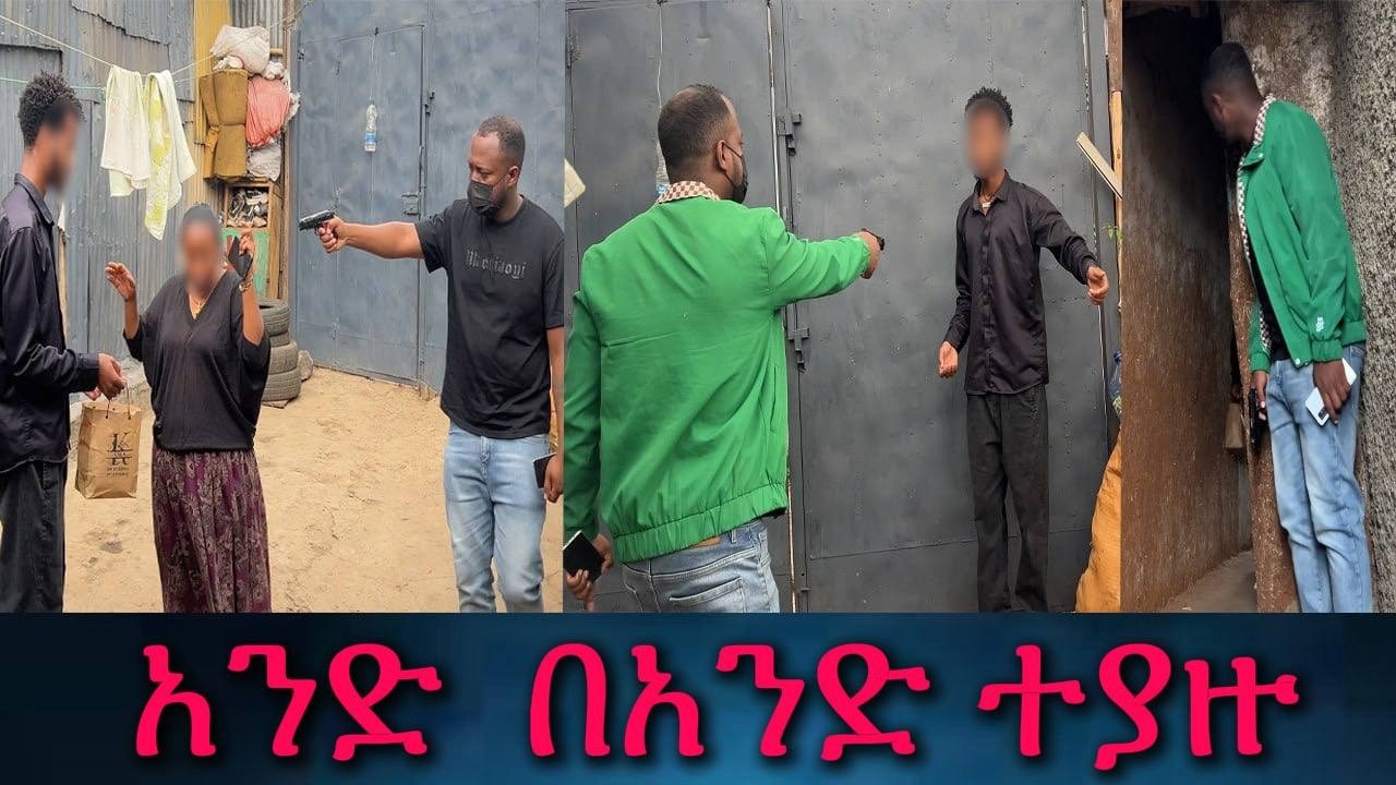 በመጨረሻም ወጥወዳችን ላይ ወደቁ። አንድ በአንድ የታዙ።