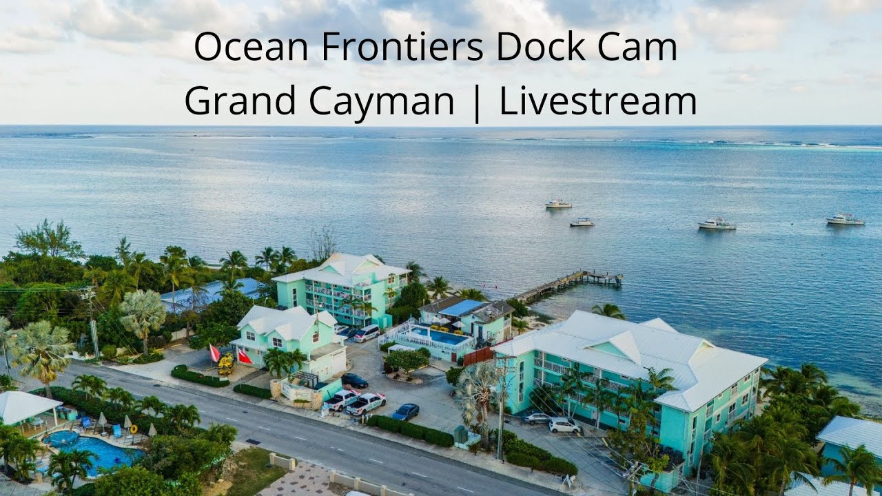 Ocean Frontiers Dock Cam | Grand Cayman | Livestream