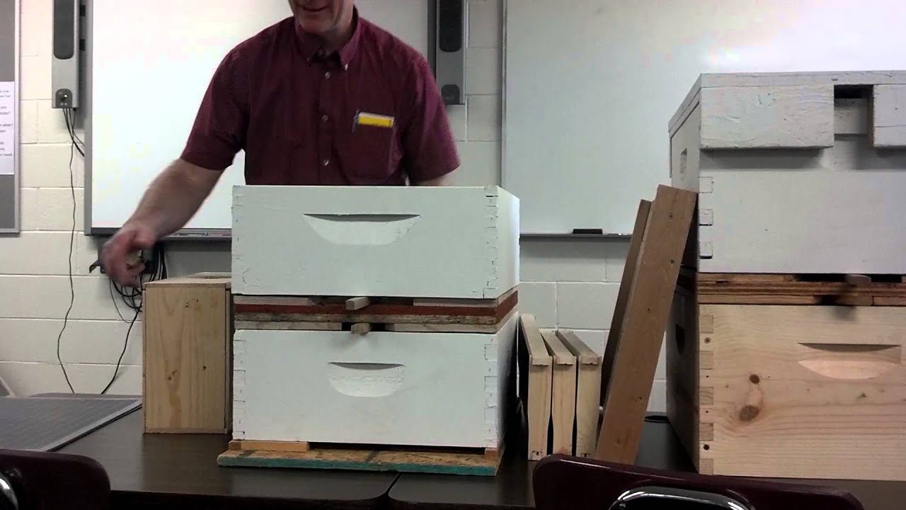 Two queen hive technique