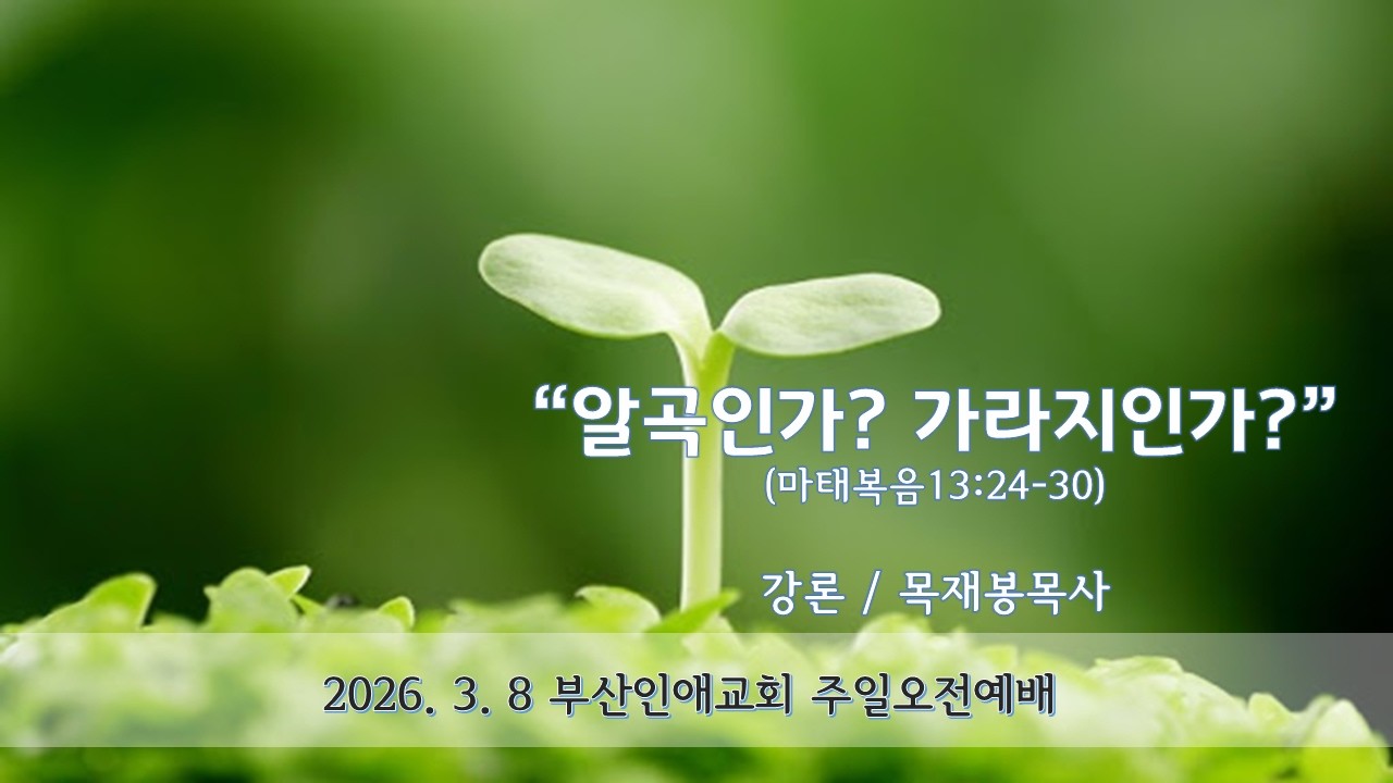2026년 3월8일 부산인애교회 주일 오전 예배  실시간