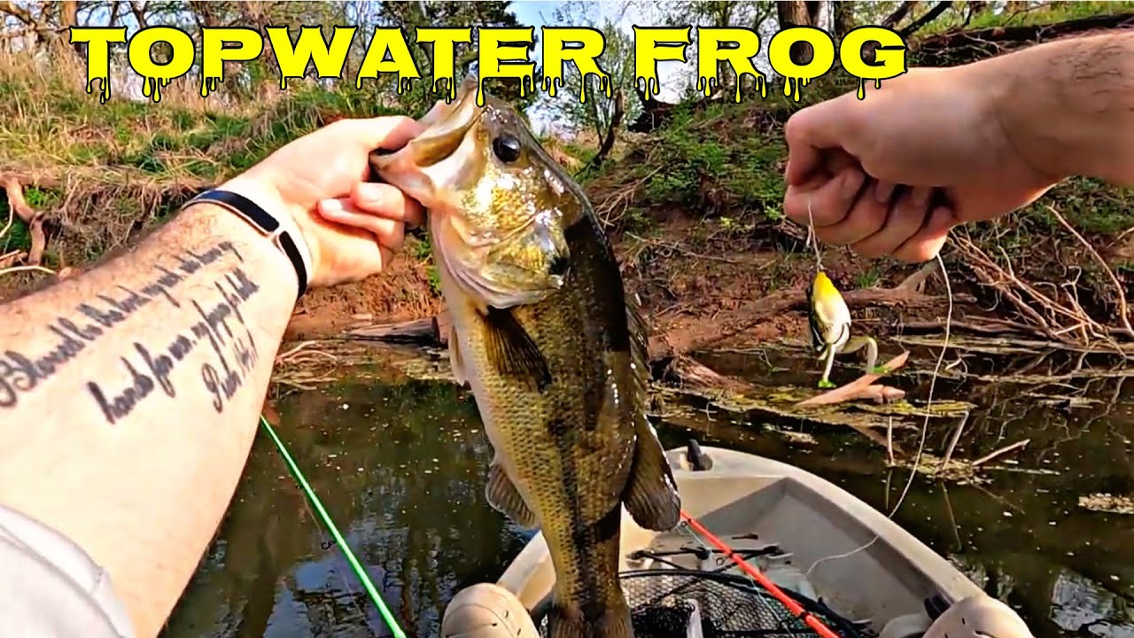 Lunkerhunt pocket Frog catches BIG BASS - Fishing from Ascend 10T Kayak