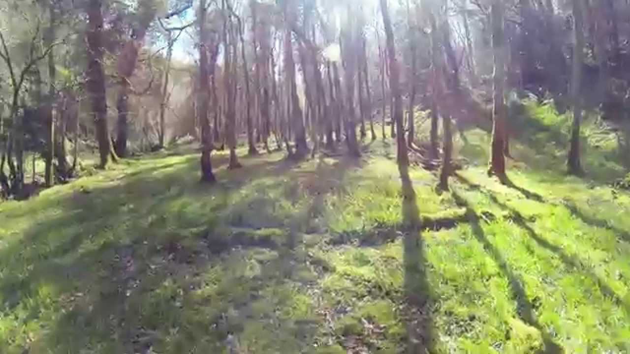 Hidden Ireland: River Paradise