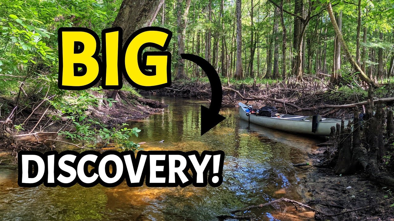 MASSIVE Discovery While Fossil Hunting & Rockhounding in a Beautiful Florida River!