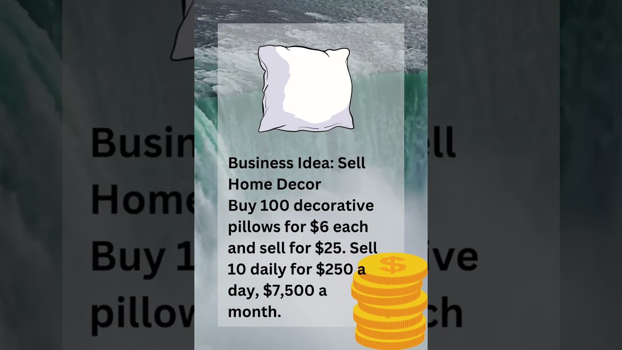 Business Idea Sell Decorative Pillows #bussinessidea #decorativepillows #pillow #growyourwealth