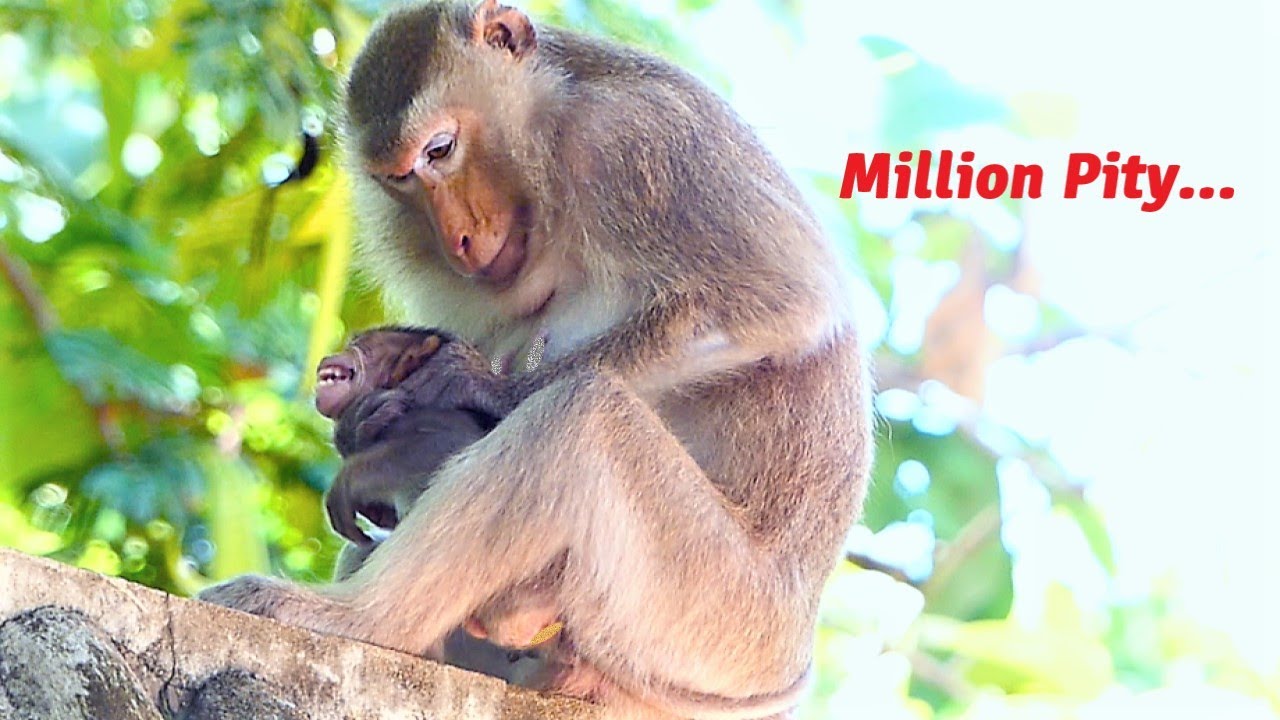 How Terrina Gets Hurt!, Teva Mother Becomes Bad Mommy As She Squeezes Baby's Neck Harder