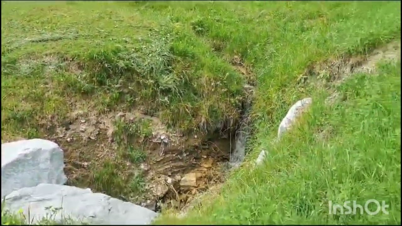 المانيا  عبر 🇦🇹 النمسا إلى سويسرا 🇨🇭 🫶☺️ الهدوء مع فيروز #