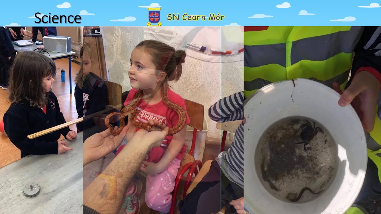 Failte go Carnmore National School