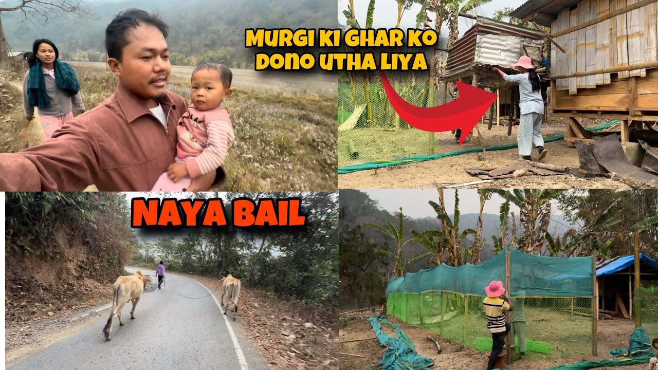 Day 2 Making a Fence for My Hens