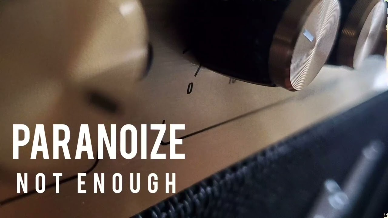 Paranoize - Not Enough