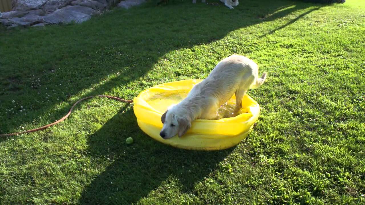 Man kan ha kul med en barnpool och ett &auml;ppelskrutt :-)