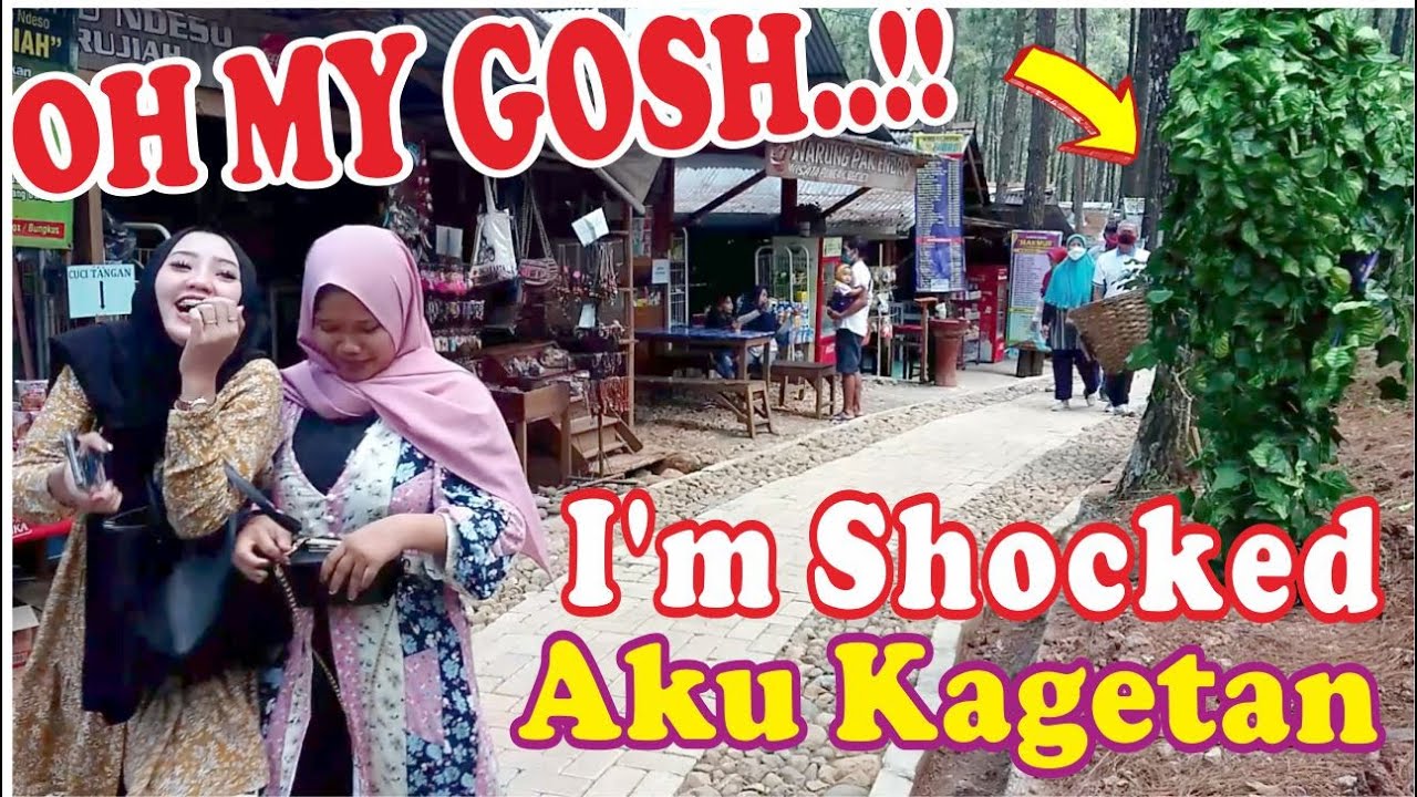 BUSHMAN PRANK SURPRISE WISATAWAN JOGJA | PRANK MANUSIA POHON