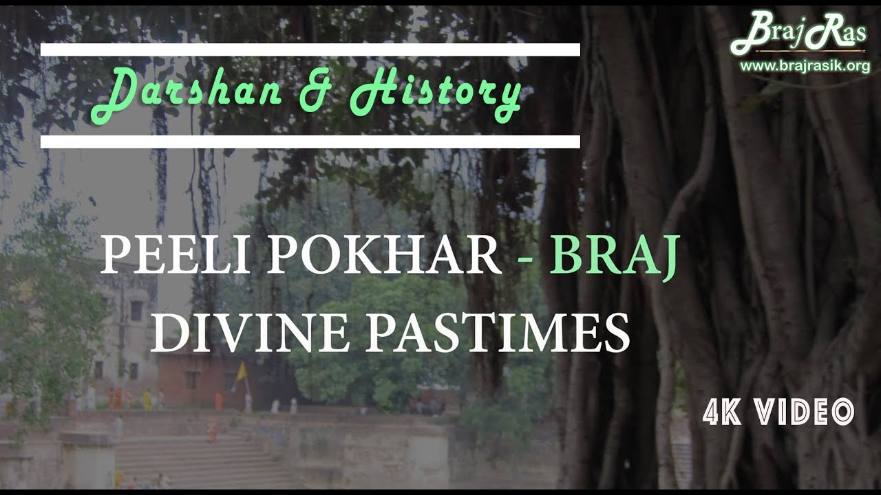 Peeli (Pili) Pokhar / Priya Kund, Barsana - Darshan, History and Pastimes | Braj Ras