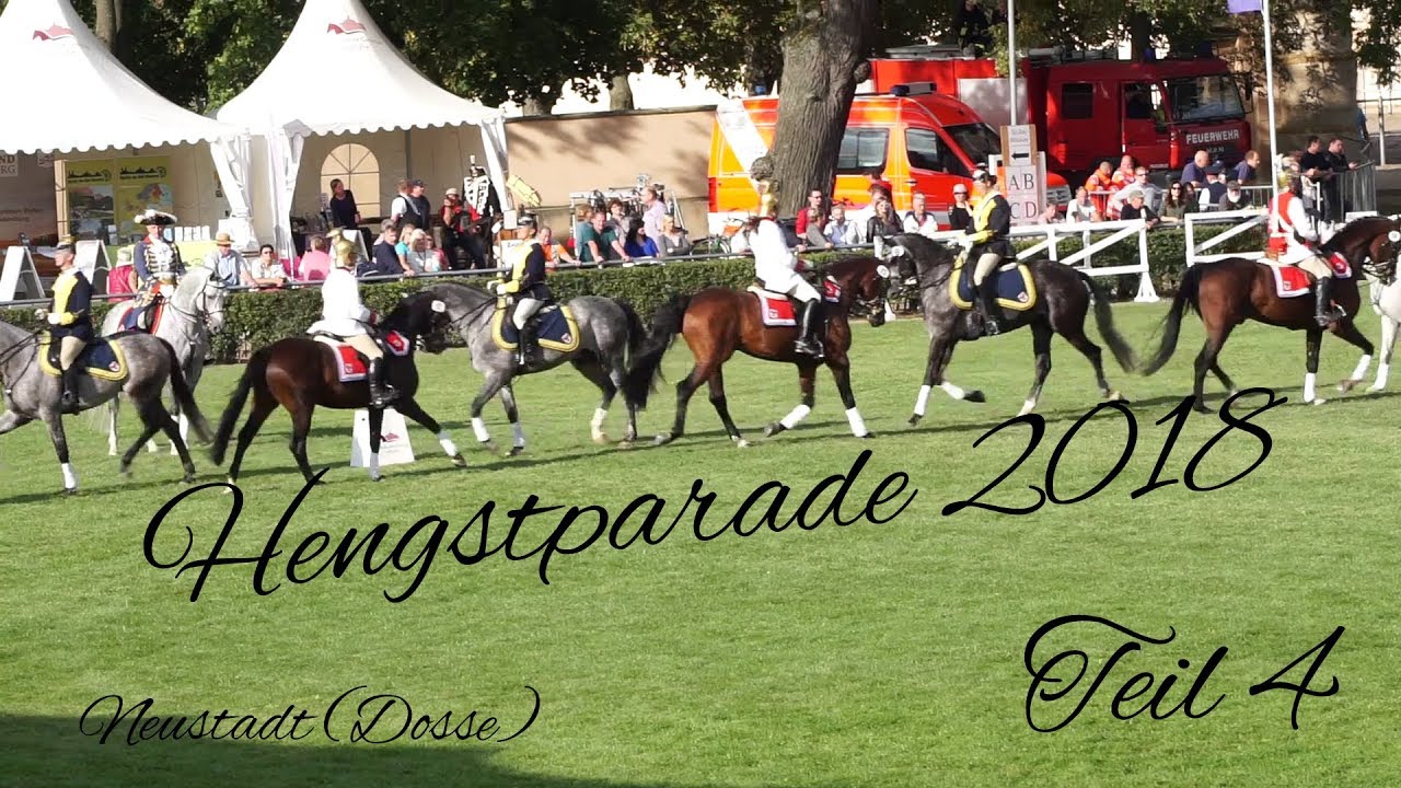 Hengstparade 2018 in Neustadt (Dosse) Teil 4/5 I Trick Riding Girls I Hengste