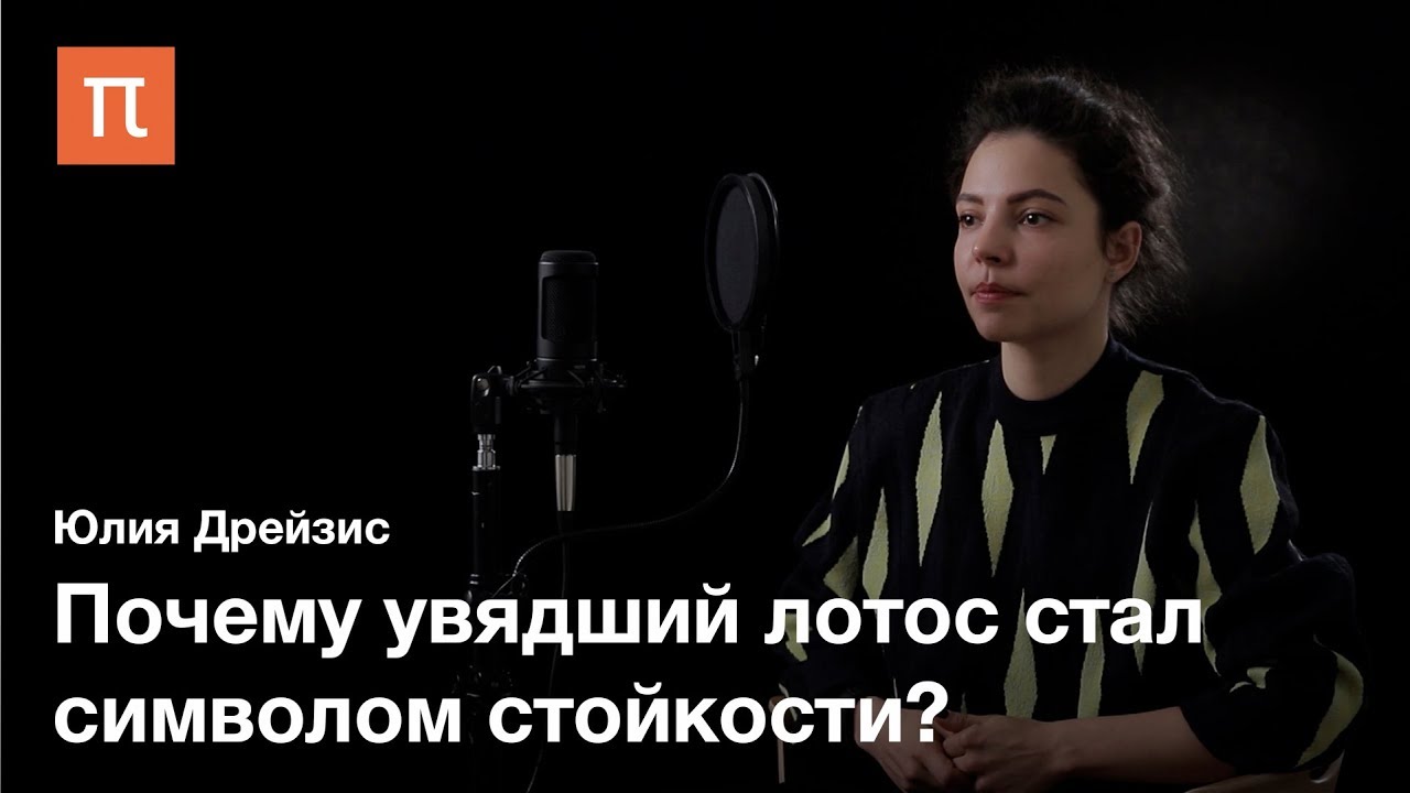 Западное и восточное в китайской поэзии — Юлия Дрейзис